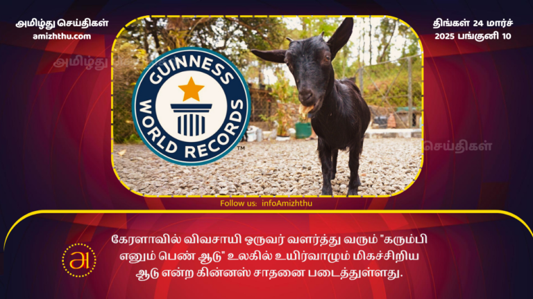 24.03.2025 smallest goat