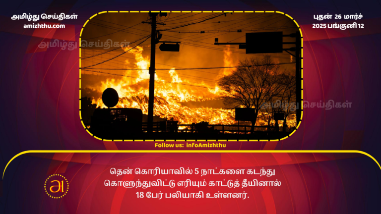 26.03.2025 south korea fire
