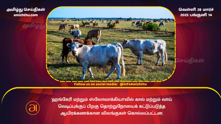 27.03.2025 cattle killed