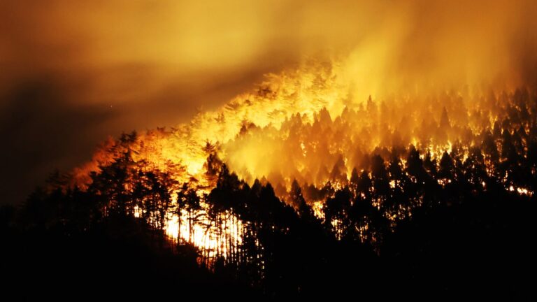 Jappan forest fire