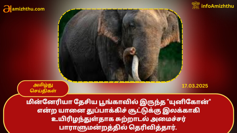 Unicorn- Male Elephant Tusker