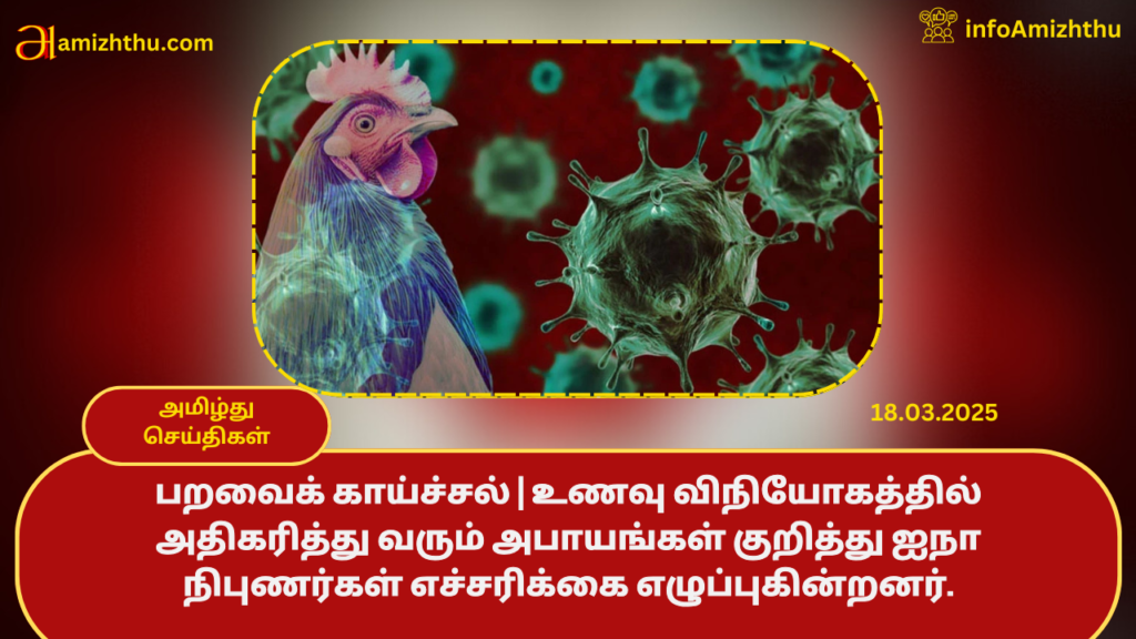 bird-flu-1024x576 18.03.2025 - முக்கிய செய்திகள்