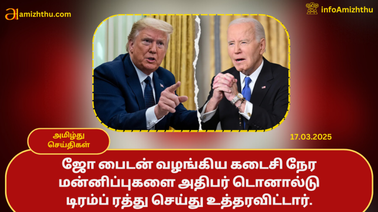 trump biden