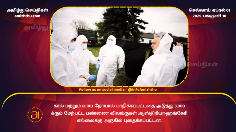 01.04.2025 - 3000 animal buried