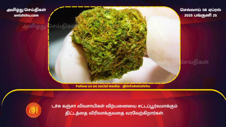 08.04.2025 - Dutch cannabis