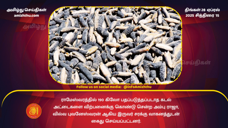 28 APRIL 2025 - 2 arrested in rameshwaram with Sea cucumber