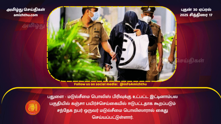 30 APRIL 2025 - Suspect arrested for cannabis cultivation (1)