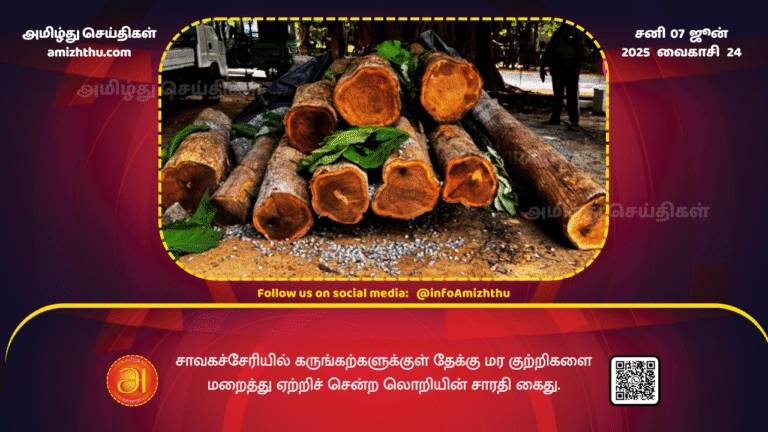 07JUNE2025 - The driver of a lorry carrying teak logs hidden in black stones in Chavakachcheri has been arrested