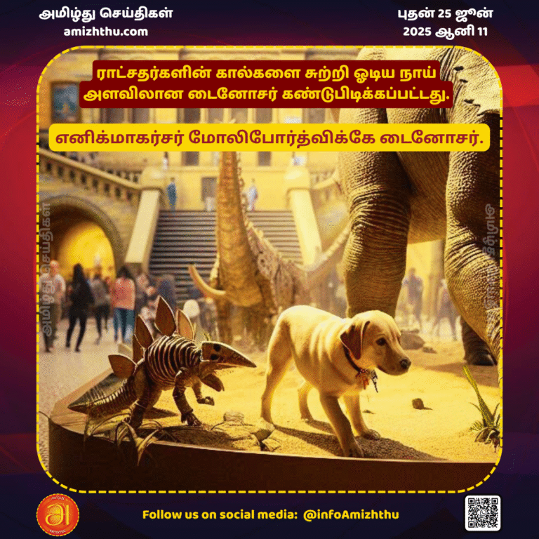 25-JUNE-2025 -   Enigmacursor mollyborthwickae dinosaur