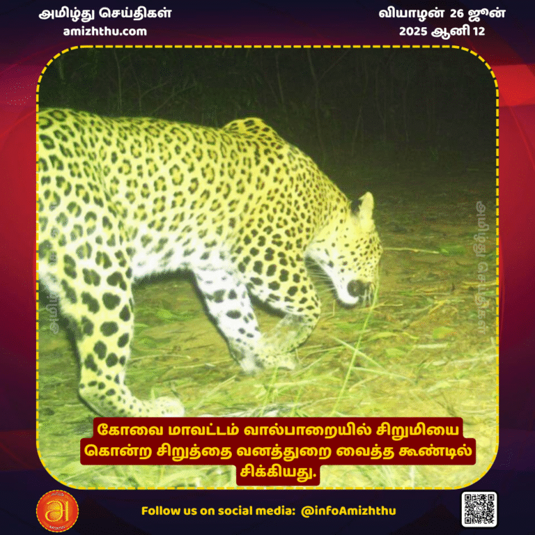 26-JUNE-2025 - The leopard that killed a girl in Valparai, Coimbatore district, was caught in a cage set up by the forest department