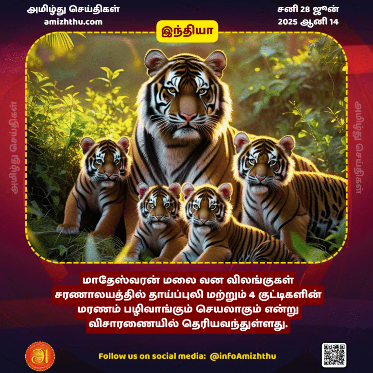 28-JUNE-2025 - The investigation has revealed that the death of a mother tiger and 4 cubs at the Matheswaran Mountain Wildlife Sanctuary was an act of revenge (1)