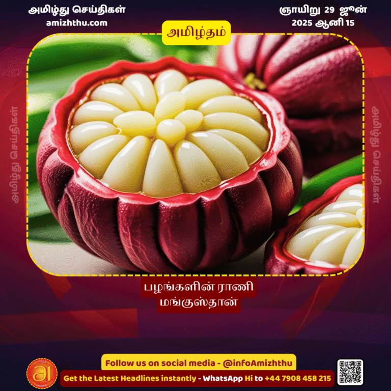 29-JUNE-2025 -  Mangosteen, the queen of fruits