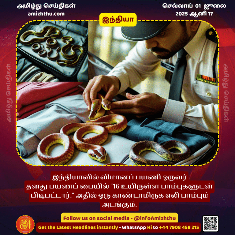 01-july-2025 - A flight passenger in India was caught with 16 live snakes in his carry-on bag