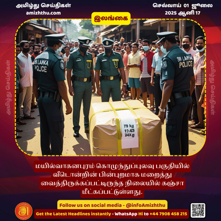 01-july-2025 - July 01 – Cannabis has been recovered from a house hidden behind a house in the Kolundhupulavu area of __Mayilvaganapuram
