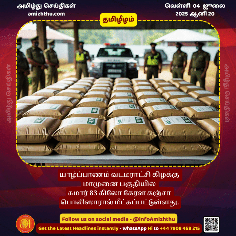 04-july-2025 - Approximately 83 kilograms of Kerala cannabis have been recovered by the police in the Mamunai area of __Vadamarachchi East, Jaffna
