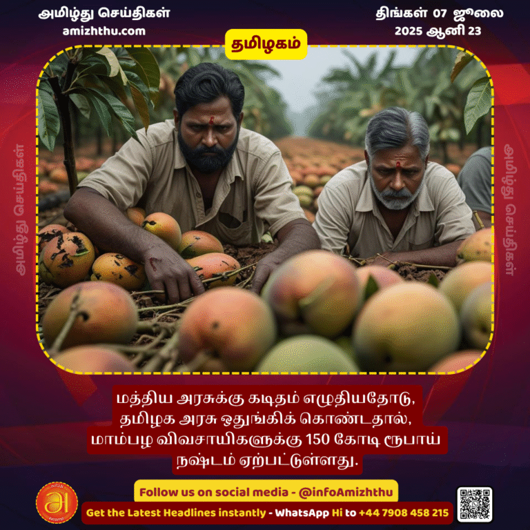 07-july-2025 - Mango farmers have suffered a loss of Rs 150 crore