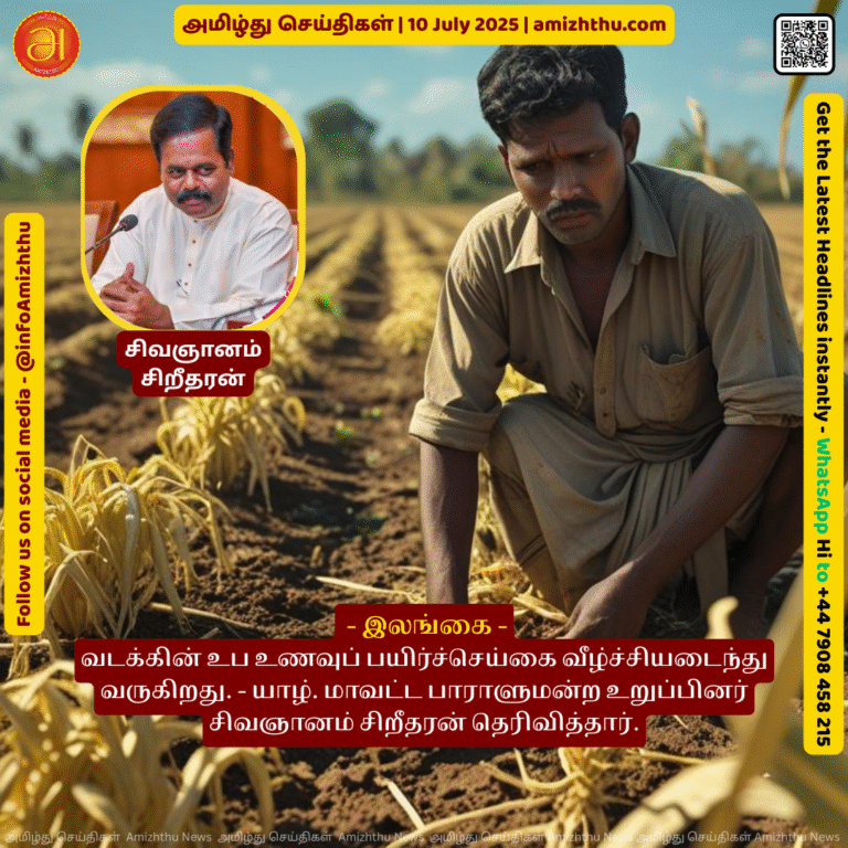 10-july-2025 - Sub-food cultivation in the North is declining - Jaffna District Member of Parliament Sivagnanam Sritharan said