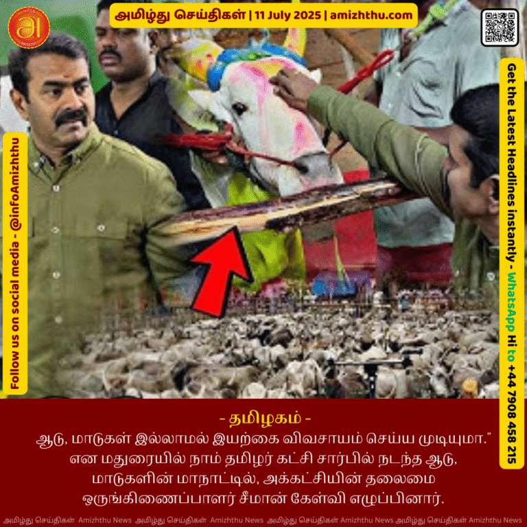 11-july-2025 - Is it possible to do organic farming without goats and cows asked Seeman, the party's chief coordinator, at a goat and cow conference held on behalf of the Naam Tamilar Party in Mad