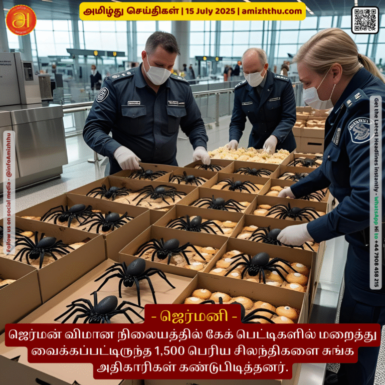 15-july-2025 - 1,500 tarantulas hidden in cake boxes at the airport