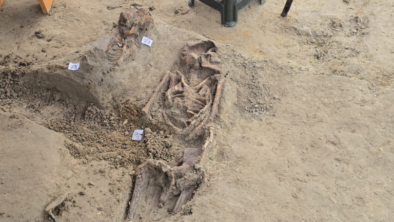 Chemmani Human Mass Grave