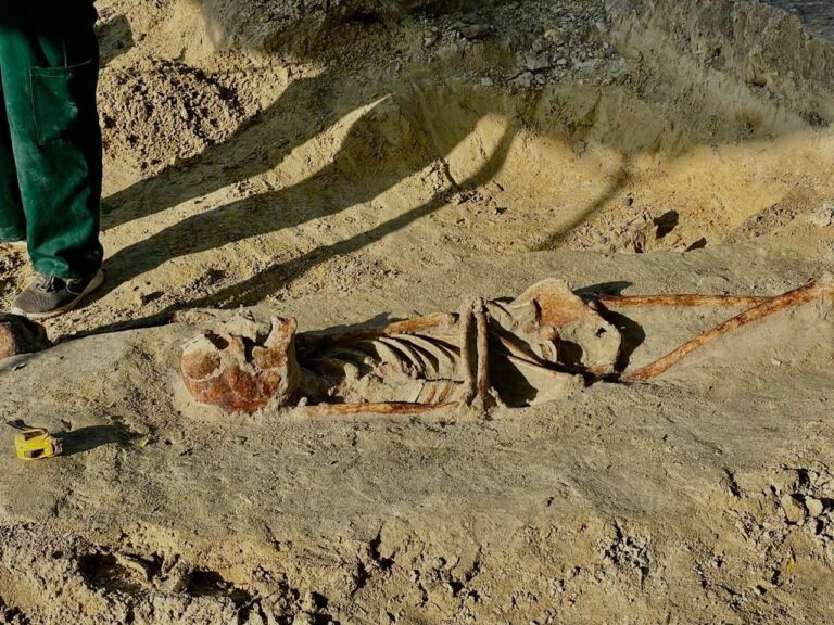 Chemmani is recorded as the 2nd largest mass grave in Sri Lanka AUG 26 2025 (3)