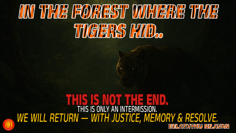 In the Forest-Where the Tigers Hid