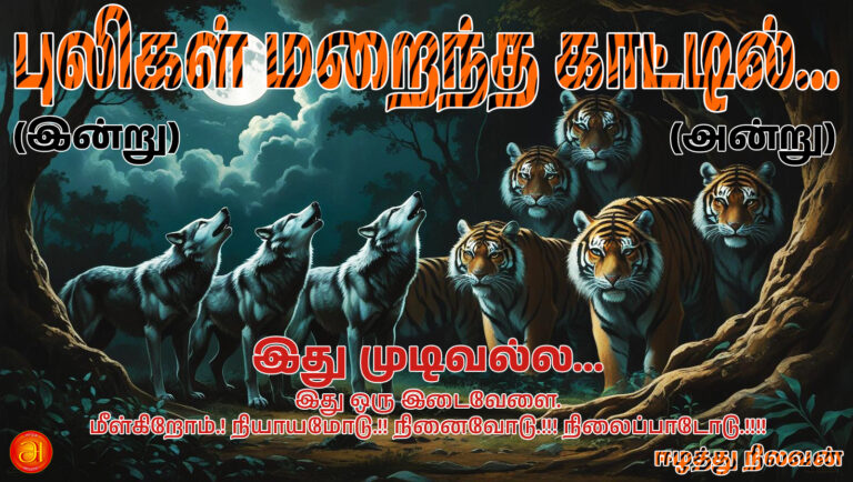 In the Forest Where the Tigers Hid