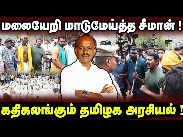 Video recording of the attitude towards the cow herding protest in the mountains