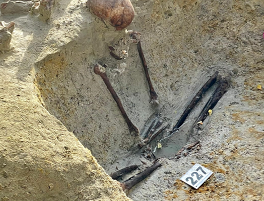 CHEMMANI HUMAN MASS GRAVES