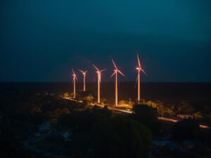 Suspend the Mannar Wind Power Project immediately; Conduct an Environmental Impact Analysis - Urges the Asian Council for Human Rights and Development